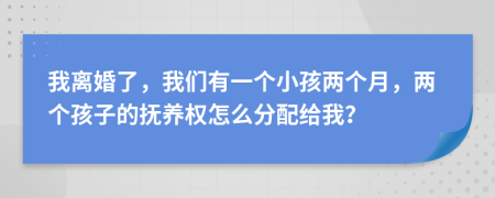 我离婚了，我们有一个小孩两个月，两个孩子的抚养权怎么分配给我？