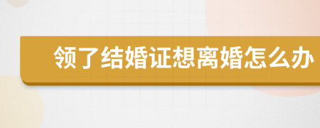 领了结婚证想离婚怎么办