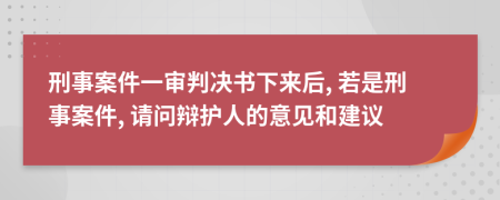刑事案件一审判决书下来后, 若是刑事案件, 请问辩护人的意见和建议