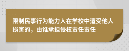 限制民事行为能力人在学校中遭受他人损害的，由谁承担侵权责任责任