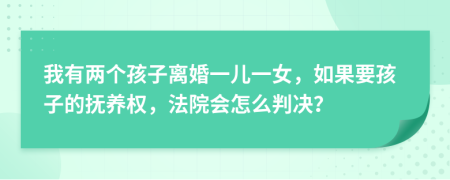 我有两个孩子离婚一儿一女，如果要孩子的抚养权，法院会怎么判决？