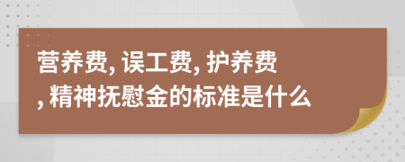 营养费, 误工费, 护养费, 精神抚慰金的标准是什么