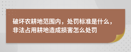 破坏农耕地范围内，处罚标准是什么，非法占用耕地造成损害怎么处罚