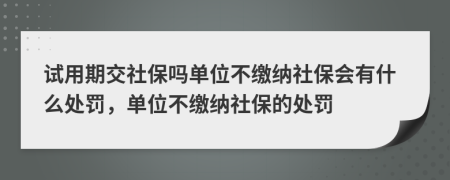 试用期交社保吗单位不缴纳社保会有什么处罚，单位不缴纳社保的处罚