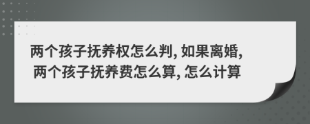 两个孩子抚养权怎么判, 如果离婚, 两个孩子抚养费怎么算, 怎么计算