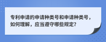 专利申请的申请种类号和申请种类号，如何理解，应当遵守哪些规定？