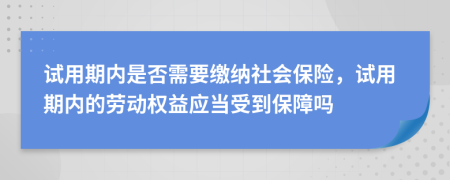 试用期内是否需要缴纳社会保险，试用期内的劳动权益应当受到保障吗