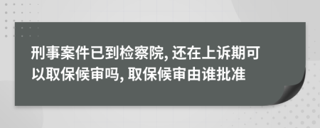 刑事案件已到检察院, 还在上诉期可以取保候审吗, 取保候审由谁批准