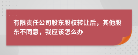 有限责任公司股东股权转让后，其他股东不同意，我应该怎么办