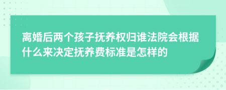 离婚后两个孩子抚养权归谁法院会根据什么来决定抚养费标准是怎样的