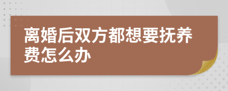 离婚后双方都想要抚养费怎么办