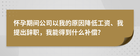 怀孕期间公司以我的原因降低工资、我提出辞职，我能得到什么补偿？