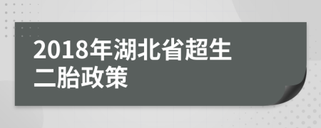 2018年湖北省超生二胎政策