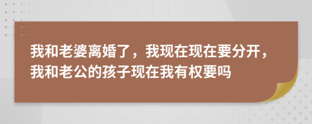 我和老婆离婚了，我现在现在要分开，我和老公的孩子现在我有权要吗