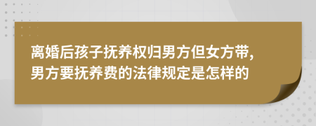 离婚后孩子抚养权归男方但女方带, 男方要抚养费的法律规定是怎样的