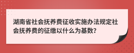 湖南省社会抚养费征收实施办法规定社会抚养费的征缴以什么为基数？