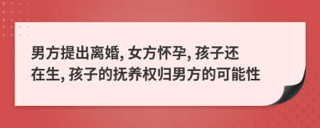 男方提出离婚, 女方怀孕, 孩子还在生, 孩子的抚养权归男方的可能性