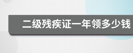 二级残疾证一年领多少钱