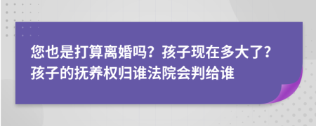 您也是打算离婚吗？孩子现在多大了？孩子的抚养权归谁法院会判给谁