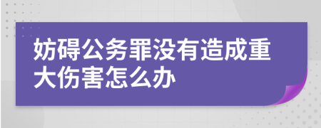 妨碍公务罪没有造成重大伤害怎么办