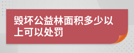 毁坏公益林面积多少以上可以处罚