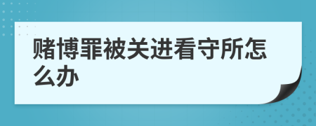 赌博罪被关进看守所怎么办