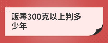 贩毒300克以上判多少年