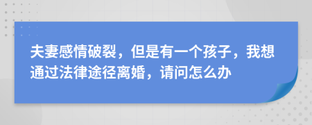 夫妻感情破裂，但是有一个孩子，我想通过法律途径离婚，请问怎么办