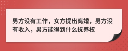 男方没有工作，女方提出离婚，男方没有收入，男方能得到什么抚养权