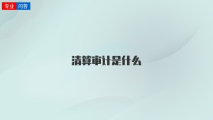 清算审计是什么