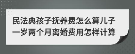 民法典孩子抚养费怎么算儿子一岁两个月离婚费用怎样计算