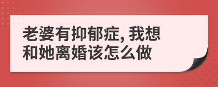 老婆有抑郁症, 我想和她离婚该怎么做