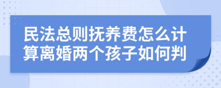 民法总则抚养费怎么计算离婚两个孩子如何判