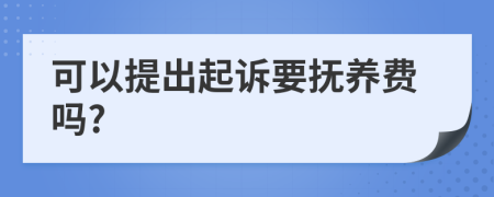 可以提出起诉要抚养费吗?