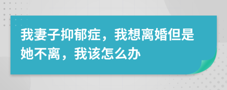 我妻子抑郁症，我想离婚但是她不离，我该怎么办