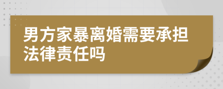 男方家暴离婚需要承担法律责任吗