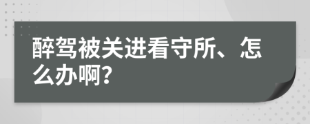 醉驾被关进看守所、怎么办啊？