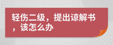 轻伤二级，提出谅解书，该怎么办