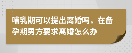 哺乳期可以提出离婚吗，在备孕期男方要求离婚怎么办