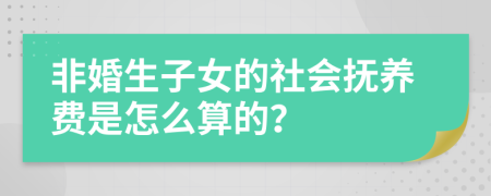 非婚生子女的社会抚养费是怎么算的？