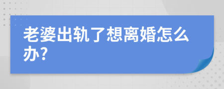 老婆出轨了想离婚怎么办?