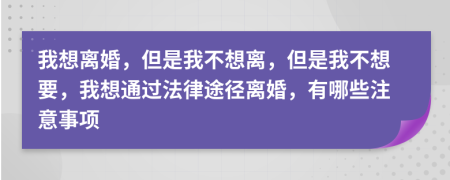 我想离婚，但是我不想离，但是我不想要，我想通过法律途径离婚，有哪些注意事项
