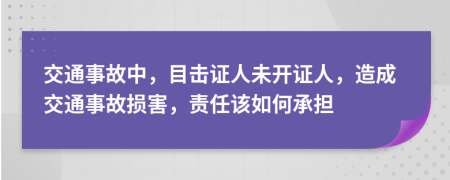 交通事故中，目击证人未开证人，造成交通事故损害，责任该如何承担