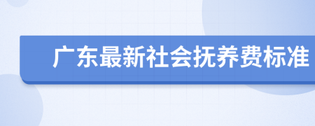 广东最新社会抚养费标准