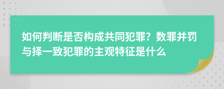 如何判断是否构成共同犯罪？数罪并罚与择一致犯罪的主观特征是什么