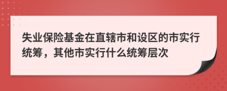 失业保险基金在直辖市和设区的市实行统筹，其他市实行什么统筹层次