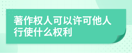 著作权人可以许可他人行使什么权利