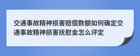 交通事故精神损害赔偿数额如何确定交通事故精神损害抚慰金怎么评定