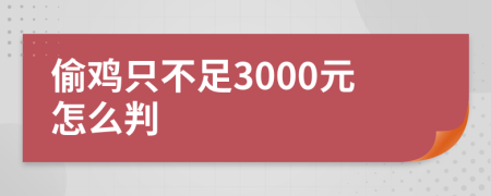 偷鸡只不足3000元怎么判