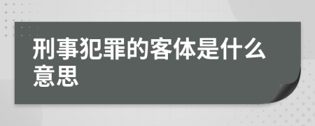 刑事犯罪的客体是什么意思